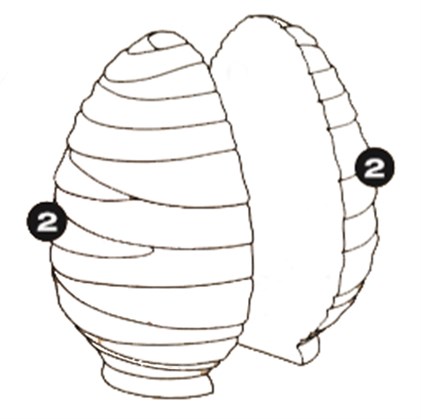 Thermoformed Ramses Chocolate Mould