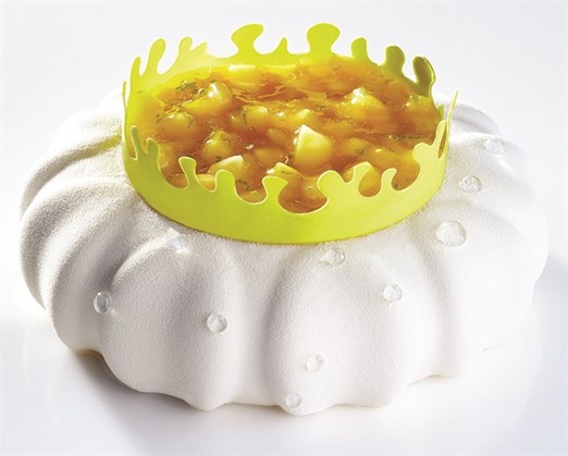 Petal Silicone Mould