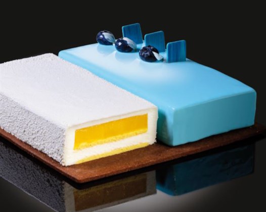 Cake Idea Double Semifreddo Mould