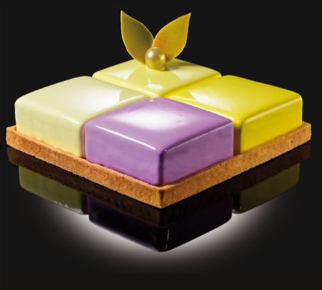 Cake Idea 4 Taste Semifreddo Mould