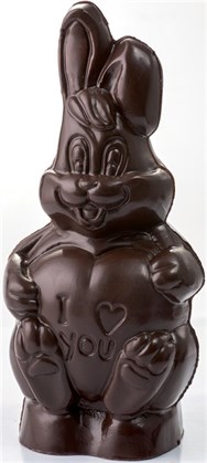 Polycarbonate Chocolate Mould (Bunny in love)