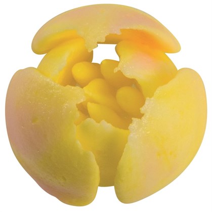 Decorative Nozzle BX0002