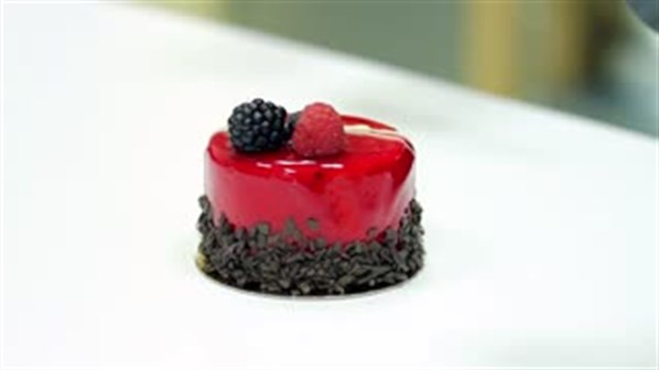 Round Mono Portion Mould